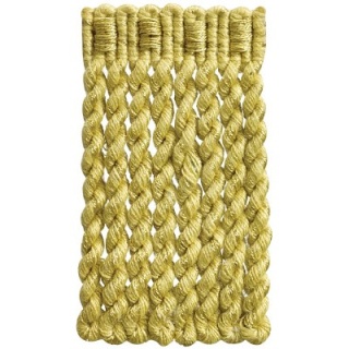 Trends bullion fringe, Citrus