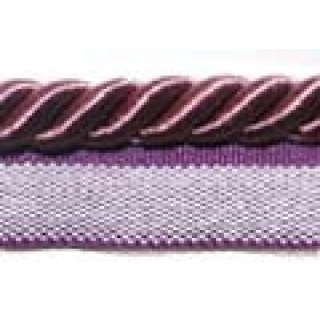 Titan flanged cord, Asteroid