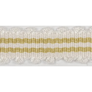 Coventry fan edge braid, Citrus