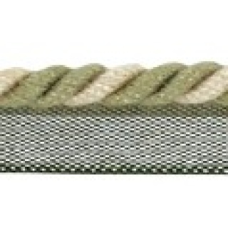 February flanged cord, Fern