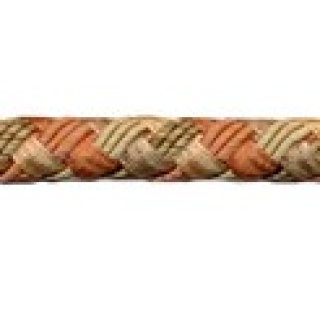 Lady cord, Flower