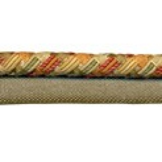 Lord flanged cord, Bloom