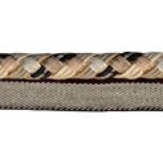 Lord flanged cord, Shadow