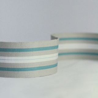 Nina Campbell Woodsford Narrow Woven Border Colour 01