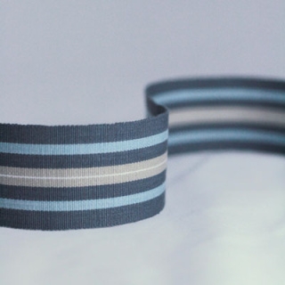 Nina Campbell Woodsford Narrow Woven Border Colour 04
