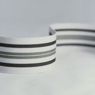Nina Campbell Woodsford Narrow Woven Border Colour 05