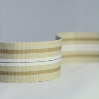 Nina Campbell Woodsford Narrow Woven Border Colour 06