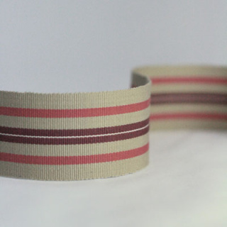 Nina Campbell Woodsford Narrow Woven Border Colour 08
