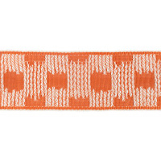 Romo Villa Nova Ikat Outdoor Border, Pumpkin