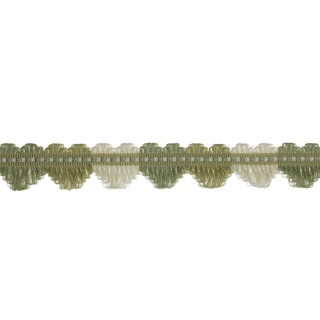 Colefax and Fowler Delano Fan Edge Braid, Leaf